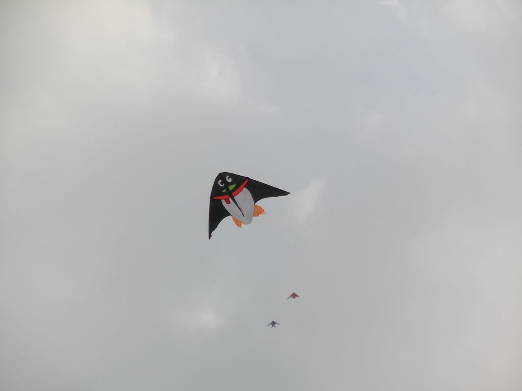 DSCN0397