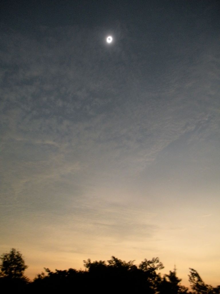 DSCN0226