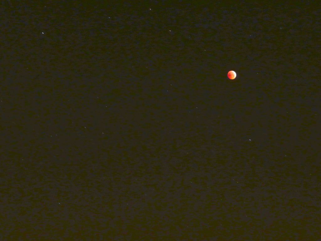 P1180534