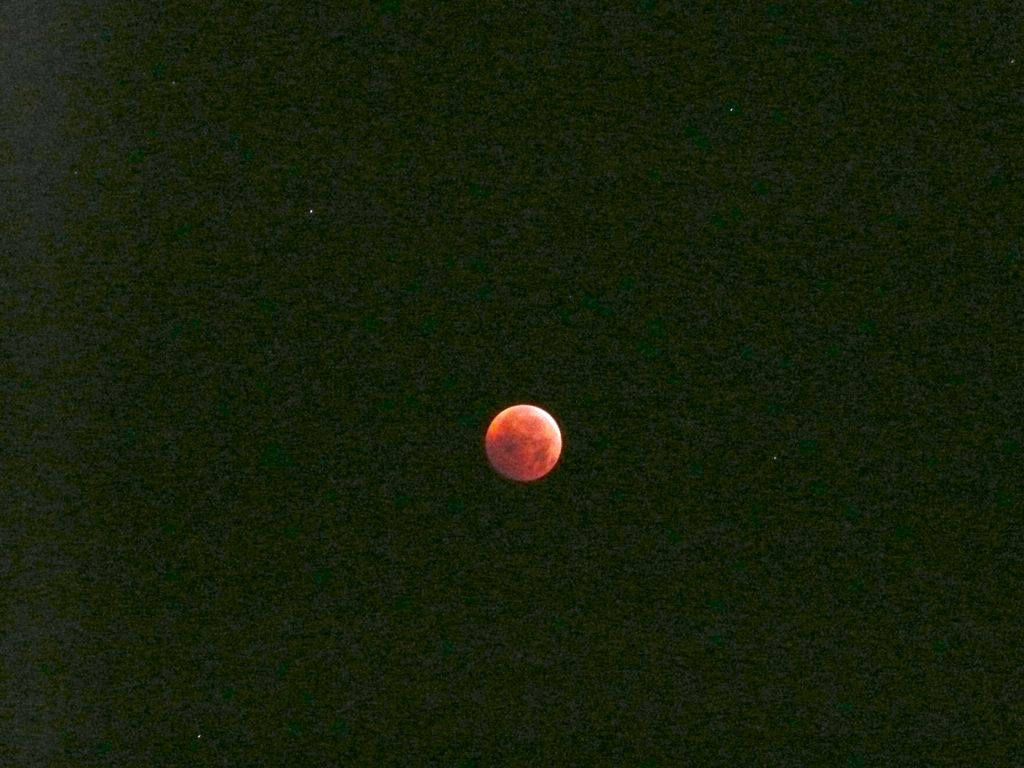 P1180541